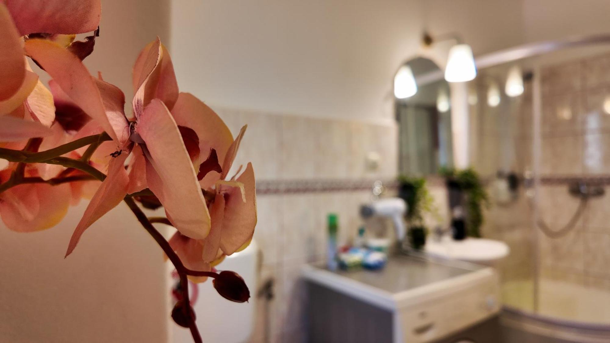 Intimo Oldtown Romantic Apartment Brasov Ngoại thất bức ảnh